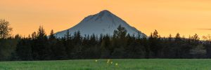 A stunning view of Mt. Hood near WTF stage.